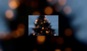 Gommans maakt beste kerststol