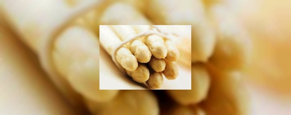 Beste asperge-amuse  van Sjako Minderhout