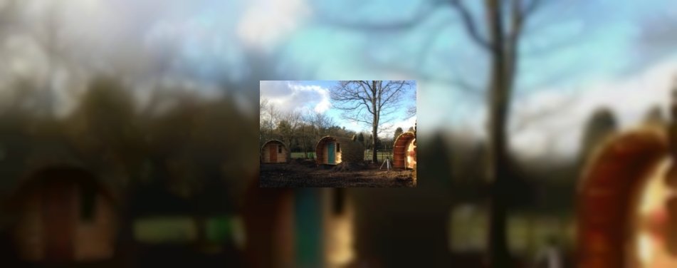 Nieuw: overnachten in een boomstam