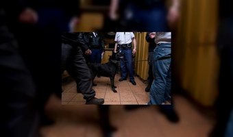 Zwaargewonde bij schietincident Hilversum