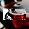Vier kopjes thee goed voor gezondheid