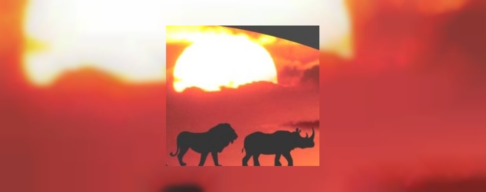 Op safari met Deli XL