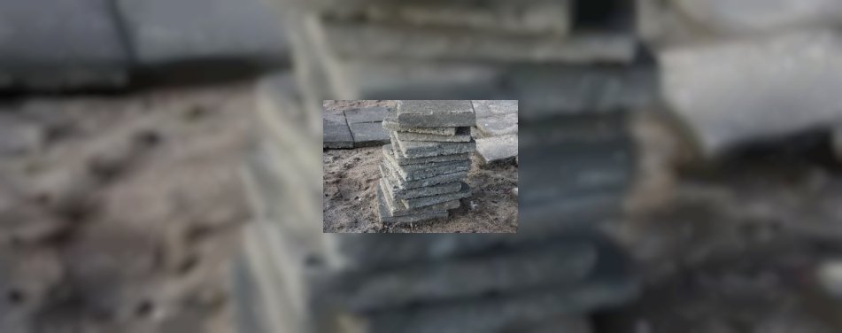 Louvre  wil toppositie in Oost-Europa