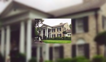 Kopie van Graceland wordt B&B