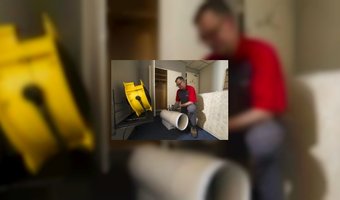 Bedwantsen zijn de schrik voor ieder hotel 