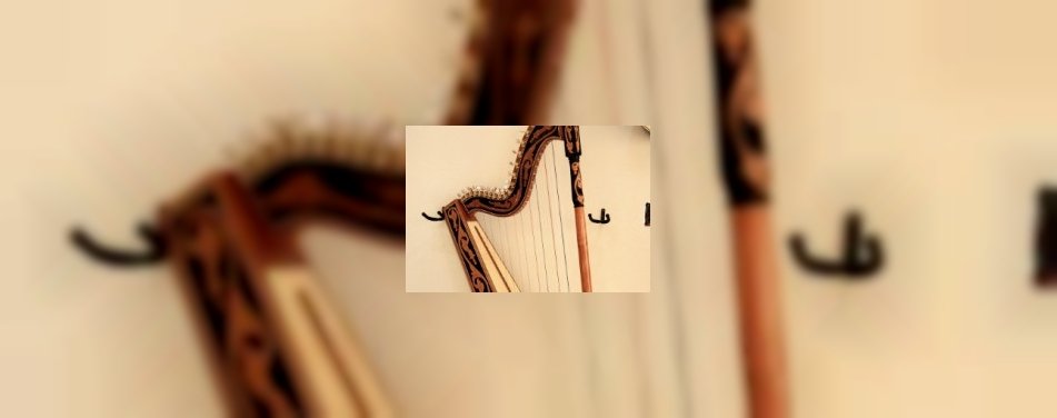 B&B organiseert klassiek concert