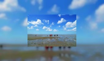 Waddenzee is toegevoegd aan werelderfgoed
