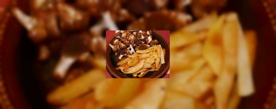 'De Lekkerste gefrituurde Snacks'