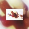 Teruggestuurd fruit krijgt tweede leven