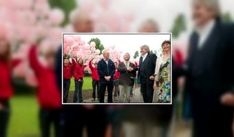 Bezoekers van B&B Hoeve Polsdonk kunnen varkens kijken