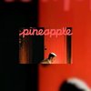 Airbnb lanceert magazine Pineapple