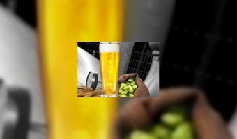 Afschaffen drank- en horecavergunning