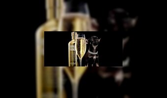 Luxehotels VS presteren beter dan de rest