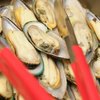 Voorzorgsmaatregelen mosselen en oesters Oosterschelde