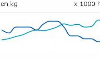 De meest geteelde zomergroenten in Nederland