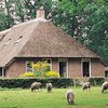 Hospitality Management 25 jaar: Dossier hotels en B&B's