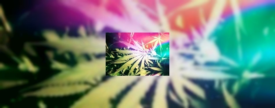 Eetcafé de Akkers voorlopig dicht vanwege drugsvondst