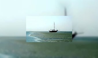 Waddeneilanden trekken 1,3 miljoen toeristen