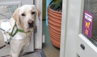 Hotels slecht toegankelijk voor mensen met een geleidehond