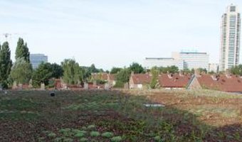 ‘Verborgen' en groen jaren 70 hotel opent in Amsterdam