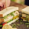 Betaalbare verduurzaming met salades en sauzen van Fano