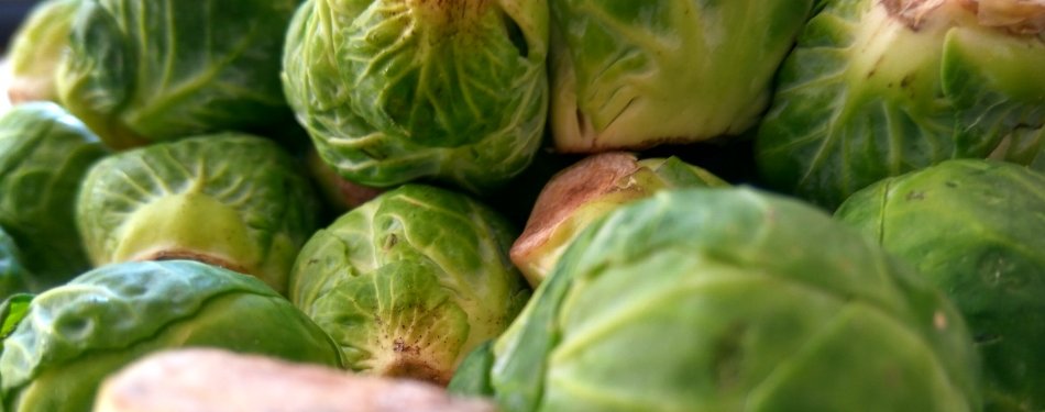 Weetje: spruitjes zijn vitaminenbommen!