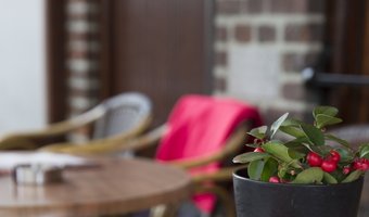 Brand bij Miru in Oss: wanneer weer open?