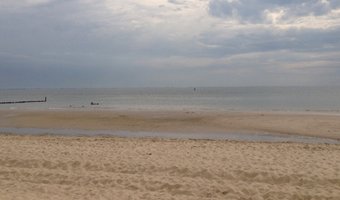 Waddengebied, Veluwe en Hollandse Duinen gekozen tot mooiste natuurgebieden van Nederland