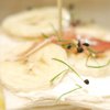 Restaurant Huis de Wiers volledig vernieuwd