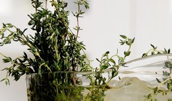 Groene kruidenthee
