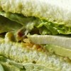 Sandwich kalkoen met pestomayonaise en bacon
