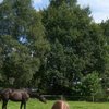 Bouw ontbijthotel Veluwse Bron mag starten