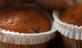 Brownies & Downies keert terug naar Den Bosch