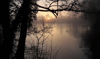 Toename aantal B&B's in Biesbosch