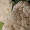 Dé trendgroente van 2017: bloemkool