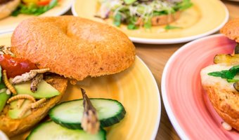 Bagels & Beans zet sprinkhaan, krekel en meelworm op de kaart