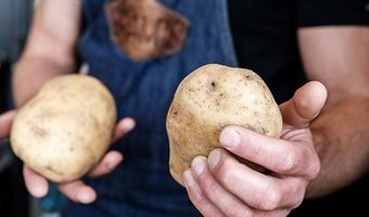 BRAM’S Gourmet Frites opent vestiging in Delft