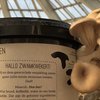 Culinaire hulpactie voor RotterZwam