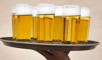 Groningen krijgt misschien een hondencafé