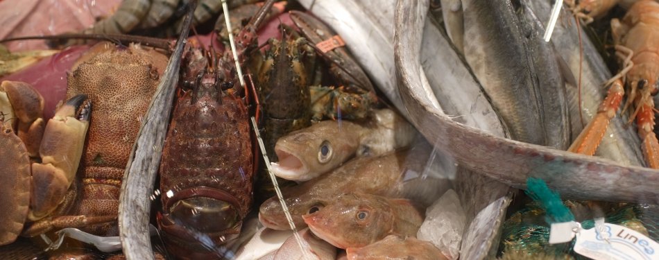 The Seafood Bar breidt uit naar Utrecht