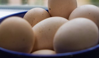 16 maart Nationale Pannenkoekendag: tien stappen tot de perfecte pannenkoek