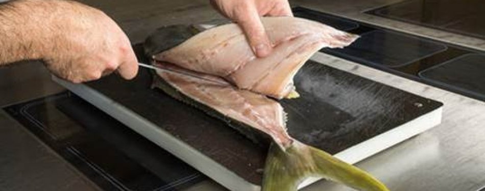 Dutch Yellowtail als alternatief voor blauwvintonijn