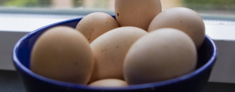 Video: pannenkoekenmachine maakt 360 pannenkoeken per uur