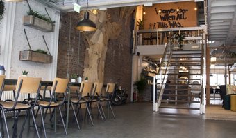 BACKYARD: plant based & vegan friendly restaurant in Rotterdam.