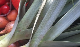 Speciaal paviljoen op VEG. voor kleinschalige vernieuwers in AGF