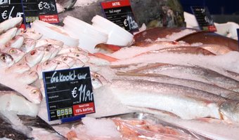 Culinair festival VISSCH eind juni in Scheveningse Visafslag