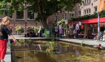 Zomerfestivals bij Koninklijk Instituut voor de Tropen