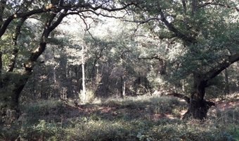 Horeca en herfstvakantie