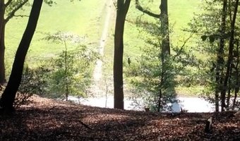 Duizenden mensen blijken op Nederlandse vakantieparken te wonen