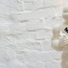 Vooruitblik: wie pakt een Michelinster en wie mag hem inleveren?
